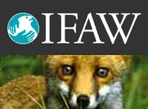 ifaw.png